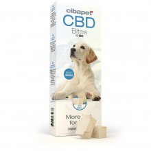 CBD snacks voor honden