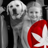 Travelling With Your Pet? Don't Forget CBD!